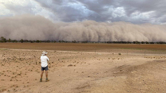 بعد الحرائق والأمطار.. عاصفة ترابية عملاقة تضرب أستراليا! صورة رقم 20