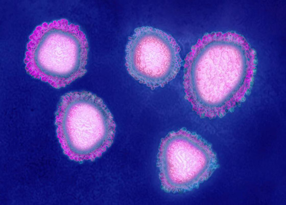  مصر تعلن: هذا هو أول مصاب لدينا بفيروس كورونا صورة رقم 13