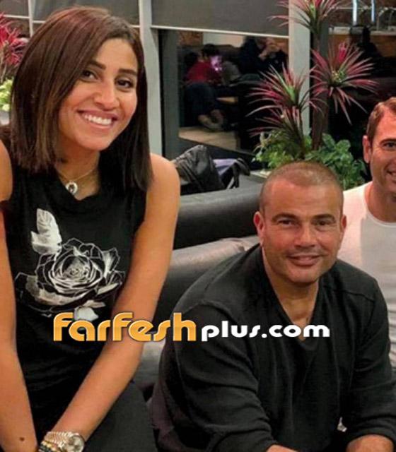 هل عاش عمرو دياب أسوأ ايام حياته مع دينا الشربيني؟ صورة رقم 7
