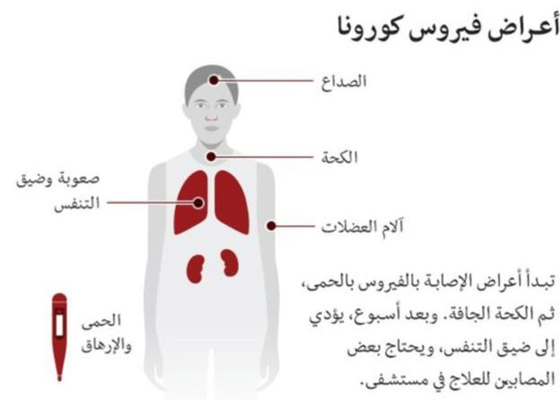 البيت الأبيض ينفي خضوع ترامب لاختبار الكشف عن الإصابة بكورونا صورة رقم 2