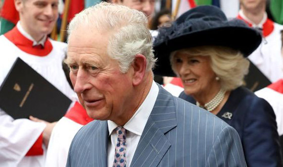 هذا آخر لقاء جمع الأمير تشارلز بالملكة قبل كشف اصابته بالكورونا صورة رقم 6