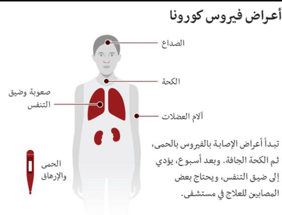  فيروس كورونا: كيف تتسوق أو تتسلم الأطعمة الجاهزة في المنزل بشكل آمن؟ صورة رقم 7