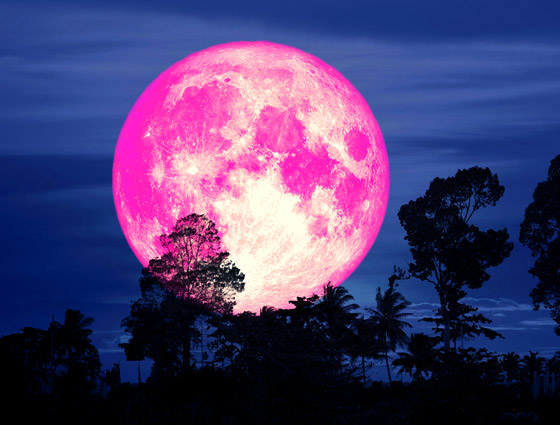 ظهور القمر الوردي بأبهى حلله.. أول بدر وظاهرة فلكية خلال الربيع! صور صورة رقم 18