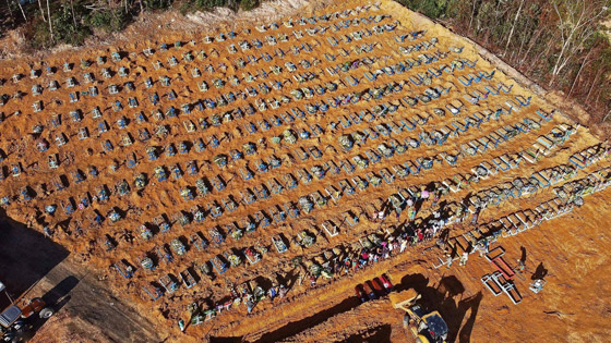 مئات التوابيت في مقبرة كورونا.. فيلم رعب في غابة برازيلية! صور صورة رقم 1
