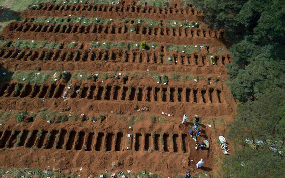 مئات التوابيت في مقبرة كورونا.. فيلم رعب في غابة برازيلية! صور صورة رقم 3