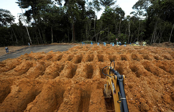مئات التوابيت في مقبرة كورونا.. فيلم رعب في غابة برازيلية! صور صورة رقم 10