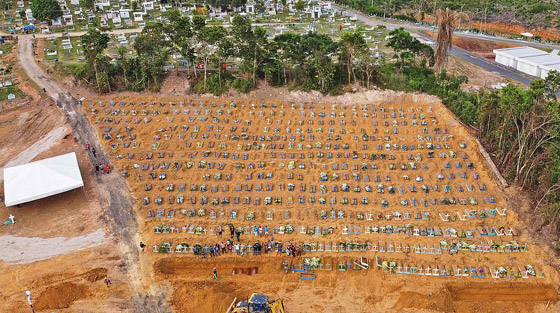 مئات التوابيت في مقبرة كورونا.. فيلم رعب في غابة برازيلية! صور صورة رقم 23