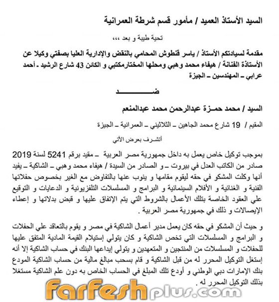 محمد وزيري يكشف السر ويرفع دعوى على هيفاء وهبي لإثبات زواجهما (مستند) صورة رقم 4