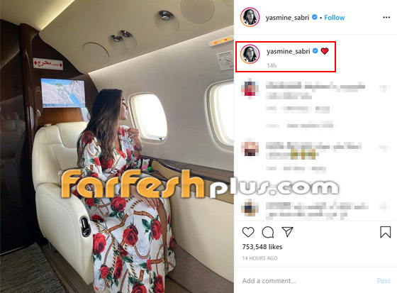 صور ياسمين صبري زوجة أحمد أبو هشيمة في طائرتها الخاصة صورة رقم 1