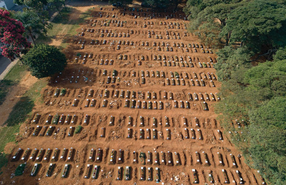صفوف من المقابر المفتوحة.. البرازيل ثاني أكبر بؤرة كورونا! صورة رقم 11
