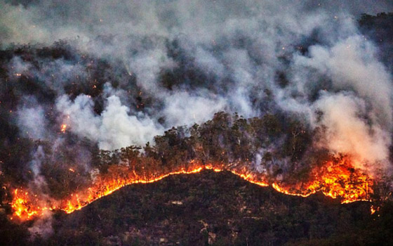 دخان حرائق أستراليا قتل 445 شخصاً وتسبب بمشاكل صحية لـ4600 صورة رقم 4