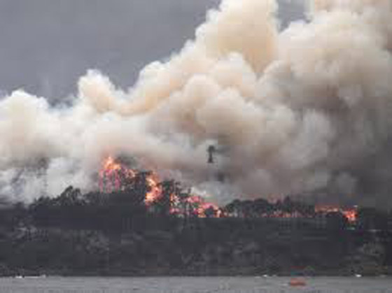 دخان حرائق أستراليا قتل 445 شخصاً وتسبب بمشاكل صحية لـ4600 صورة رقم 7