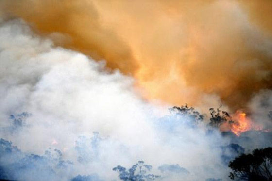 دخان حرائق أستراليا قتل 445 شخصاً وتسبب بمشاكل صحية لـ4600 صورة رقم 6