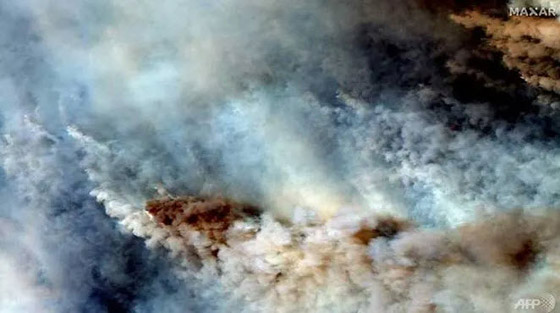 دخان حرائق أستراليا قتل 445 شخصاً وتسبب بمشاكل صحية لـ4600 صورة رقم 3