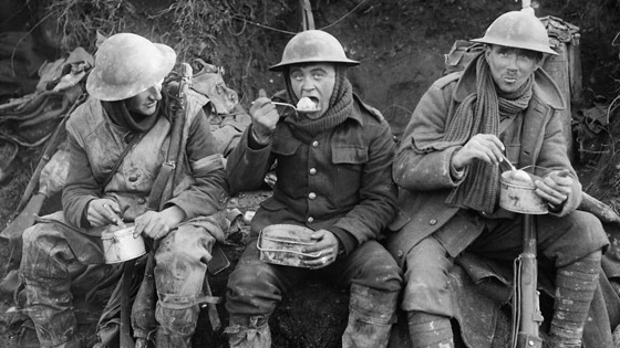بسبب القمل.. مرض أصاب ثلث جيش بريطانيا بالحرب العالمية صورة رقم 1