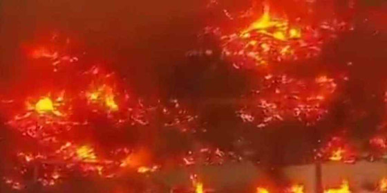 شاهدوا.. حريق هائل يلتهم مستودعات أمازون في كاليفورنيا صورة رقم 9