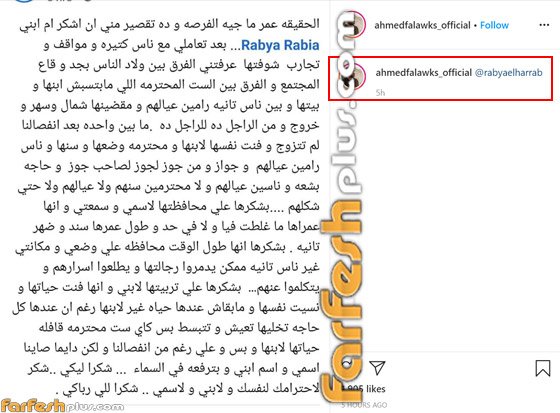 أحمد فلوكس متهم بالإساءة لطليقته هنا شيحة.. ويرد بعد الهجوم عليه! صورة رقم 1