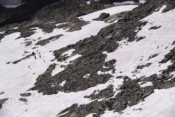 ظاهرة غامضة.. ظهور جليد زهري في جبال الألب صورة رقم 5