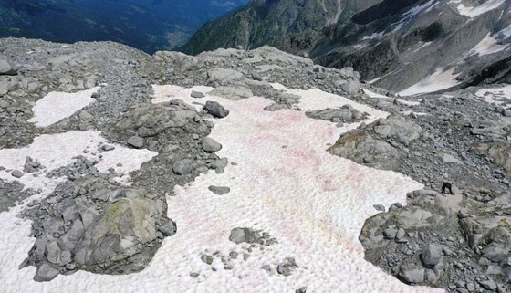 ظاهرة غامضة.. ظهور جليد زهري في جبال الألب صورة رقم 8