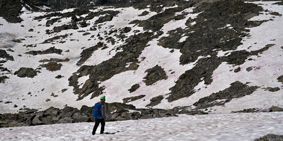 ظاهرة غامضة.. ظهور جليد زهري في جبال الألب صورة رقم 4