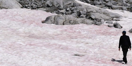 ظاهرة غامضة.. ظهور جليد زهري في جبال الألب صورة رقم 9