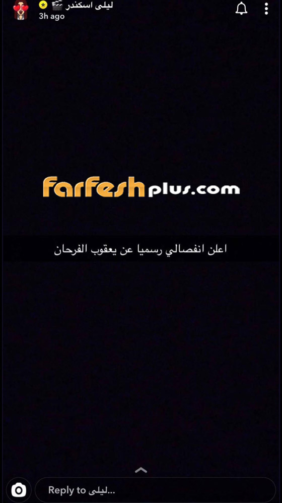 بعد انفصالهما.. ليلى إسكندر تعلن عودتها ليعقوب الفرحان: الحب ينتصر! صورة رقم 2