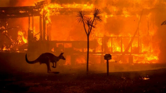 انفجارات واغتيالات وحرائق وأوبئة.. أبرز المصائب التي وقعت في 2020 صورة رقم 4