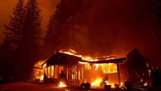 صور: كاليفورنيا تشهد إحدى أكبر حرائق الغابات في تاريخها! صورة رقم 4