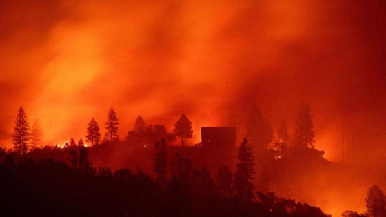 كاليفورنيا جحيما برتقاليا: النيران تلتهم مساحات قياسية ولا تزال مشتعلة صورة رقم 40
