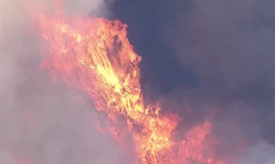 صور: كاليفورنيا تشهد إحدى أكبر حرائق الغابات في تاريخها! صورة رقم 7