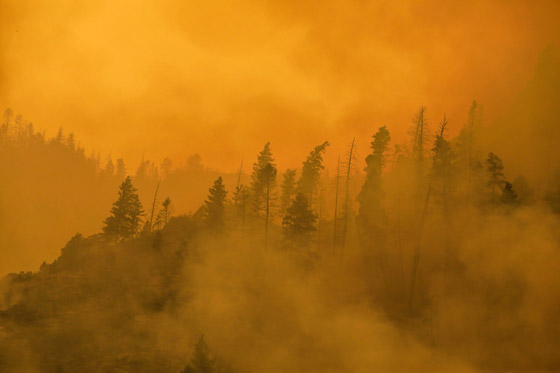 صور: كاليفورنيا تشهد إحدى أكبر حرائق الغابات في تاريخها! صورة رقم 8