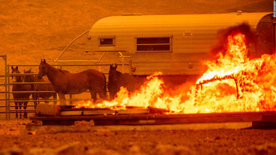 صور: كاليفورنيا تشهد إحدى أكبر حرائق الغابات في تاريخها! صورة رقم 11