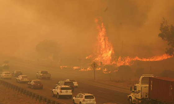 صور: كاليفورنيا تشهد إحدى أكبر حرائق الغابات في تاريخها! صورة رقم 12