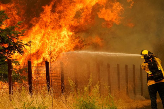 صور: كاليفورنيا تشهد إحدى أكبر حرائق الغابات في تاريخها! صورة رقم 13