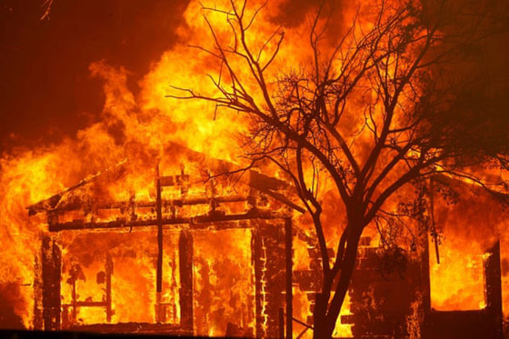صور: كاليفورنيا تشهد إحدى أكبر حرائق الغابات في تاريخها! صورة رقم 15