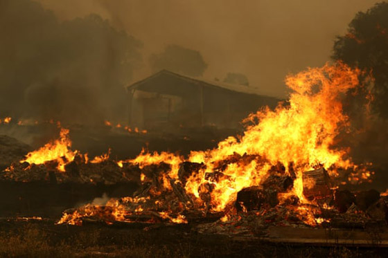 صور: كاليفورنيا تشهد إحدى أكبر حرائق الغابات في تاريخها! صورة رقم 17