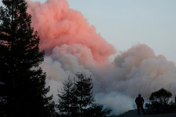 صور: كاليفورنيا تشهد إحدى أكبر حرائق الغابات في تاريخها! صورة رقم 18