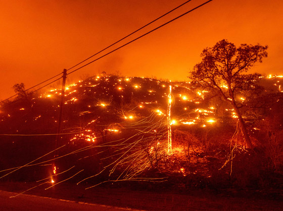 كاليفورنيا جحيما برتقاليا: النيران تلتهم مساحات قياسية ولا تزال مشتعلة صورة رقم 41