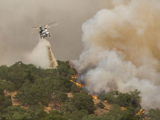 صور: كاليفورنيا تشهد إحدى أكبر حرائق الغابات في تاريخها! صورة رقم 20