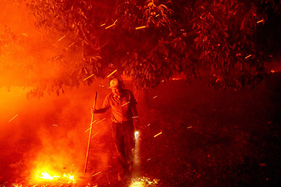 كاليفورنيا جحيما برتقاليا: النيران تلتهم مساحات قياسية ولا تزال مشتعلة صورة رقم 42