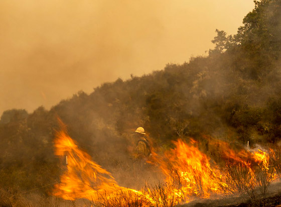 صور: كاليفورنيا تشهد إحدى أكبر حرائق الغابات في تاريخها! صورة رقم 23
