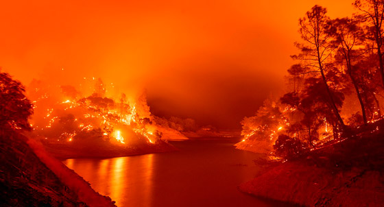 كاليفورنيا جحيما برتقاليا: النيران تلتهم مساحات قياسية ولا تزال مشتعلة صورة رقم 44