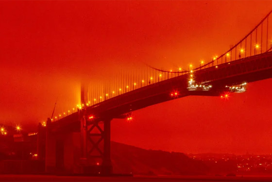 كاليفورنيا جحيما برتقاليا: النيران تلتهم مساحات قياسية ولا تزال مشتعلة صورة رقم 11