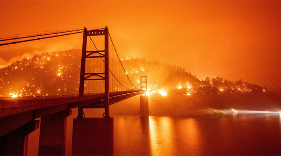 كاليفورنيا جحيما برتقاليا: النيران تلتهم مساحات قياسية ولا تزال مشتعلة صورة رقم 16