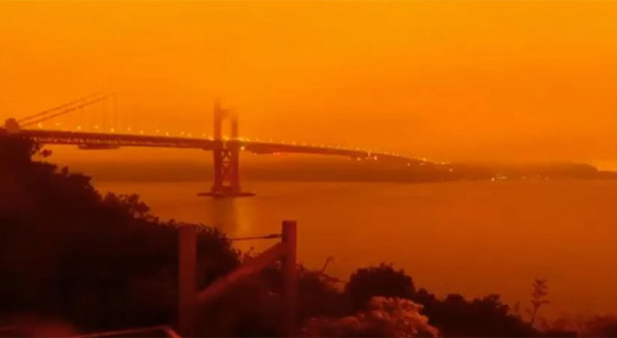 كاليفورنيا جحيما برتقاليا: النيران تلتهم مساحات قياسية ولا تزال مشتعلة صورة رقم 19