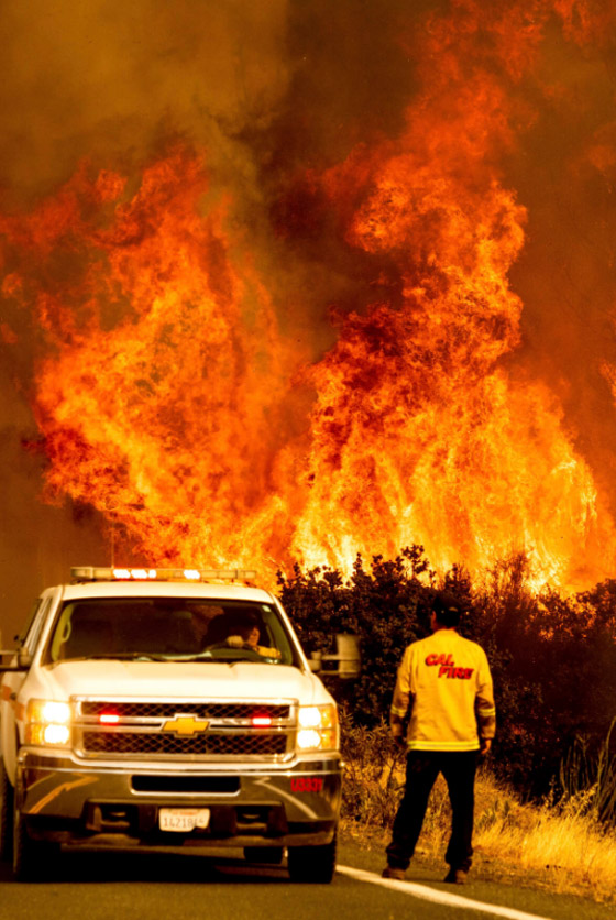 كاليفورنيا جحيما برتقاليا: النيران تلتهم مساحات قياسية ولا تزال مشتعلة صورة رقم 15
