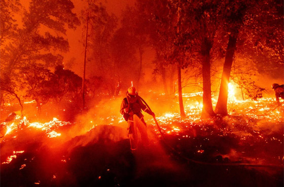 كاليفورنيا جحيما برتقاليا: النيران تلتهم مساحات قياسية ولا تزال مشتعلة صورة رقم 14