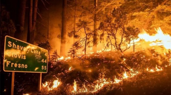 كاليفورنيا جحيما برتقاليا: النيران تلتهم مساحات قياسية ولا تزال مشتعلة صورة رقم 22