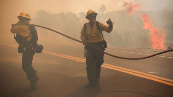 كاليفورنيا جحيما برتقاليا: النيران تلتهم مساحات قياسية ولا تزال مشتعلة صورة رقم 25