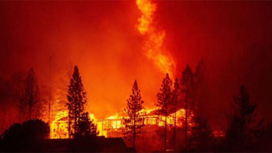 كاليفورنيا جحيما برتقاليا: النيران تلتهم مساحات قياسية ولا تزال مشتعلة صورة رقم 26